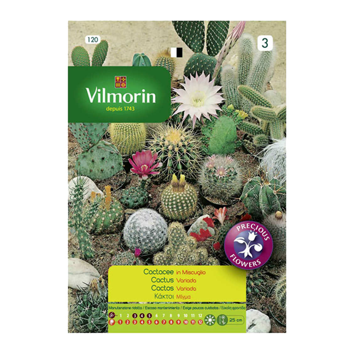 Semillas Cactus