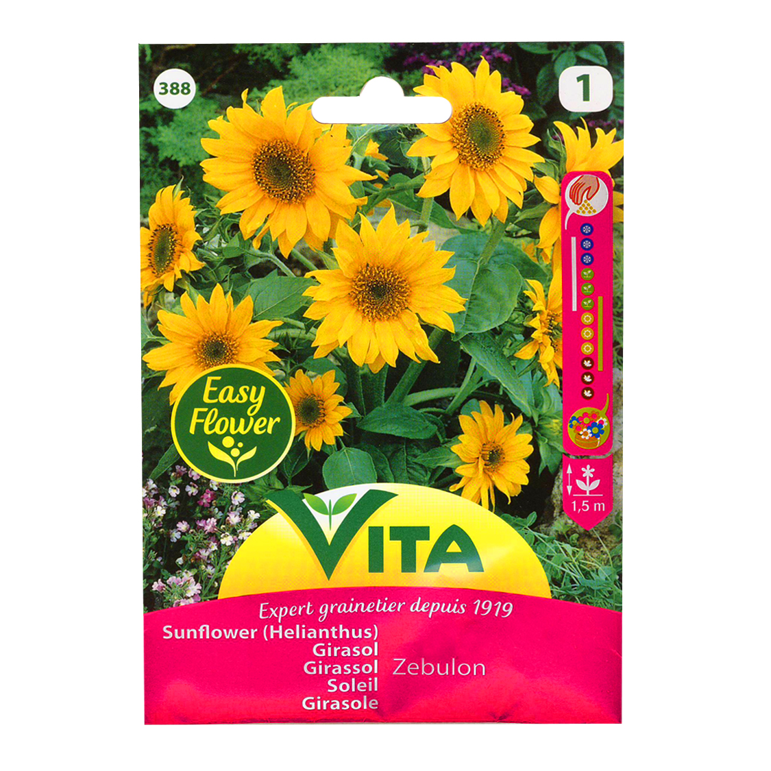 Semillas Girasol Zebulón