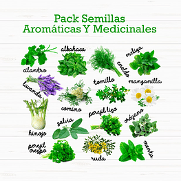 Pack 15 Sobres Semillas Aromáticas Y Medicinales