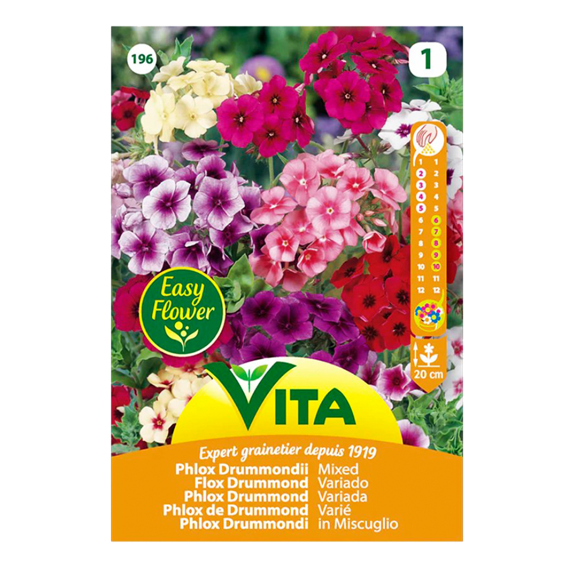 Semillas Flox Drummond