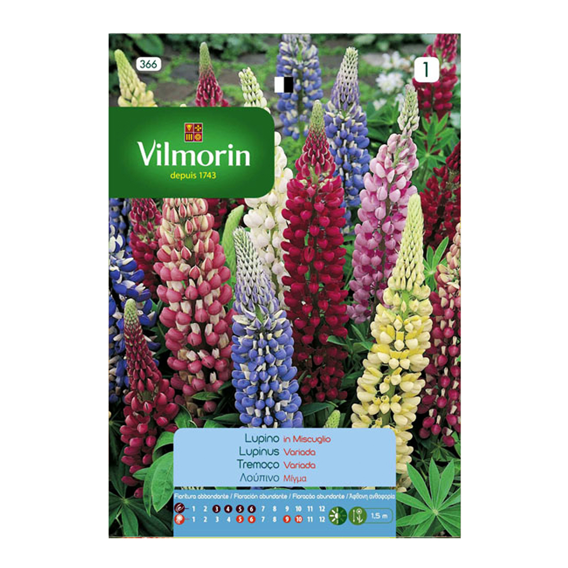 Semillas Lupinus