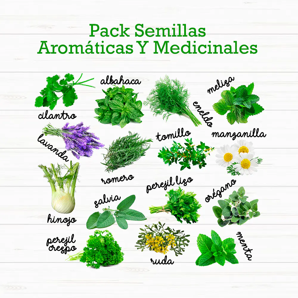 Pack 15 Sobres Semillas Aromáticas Y Medicinales