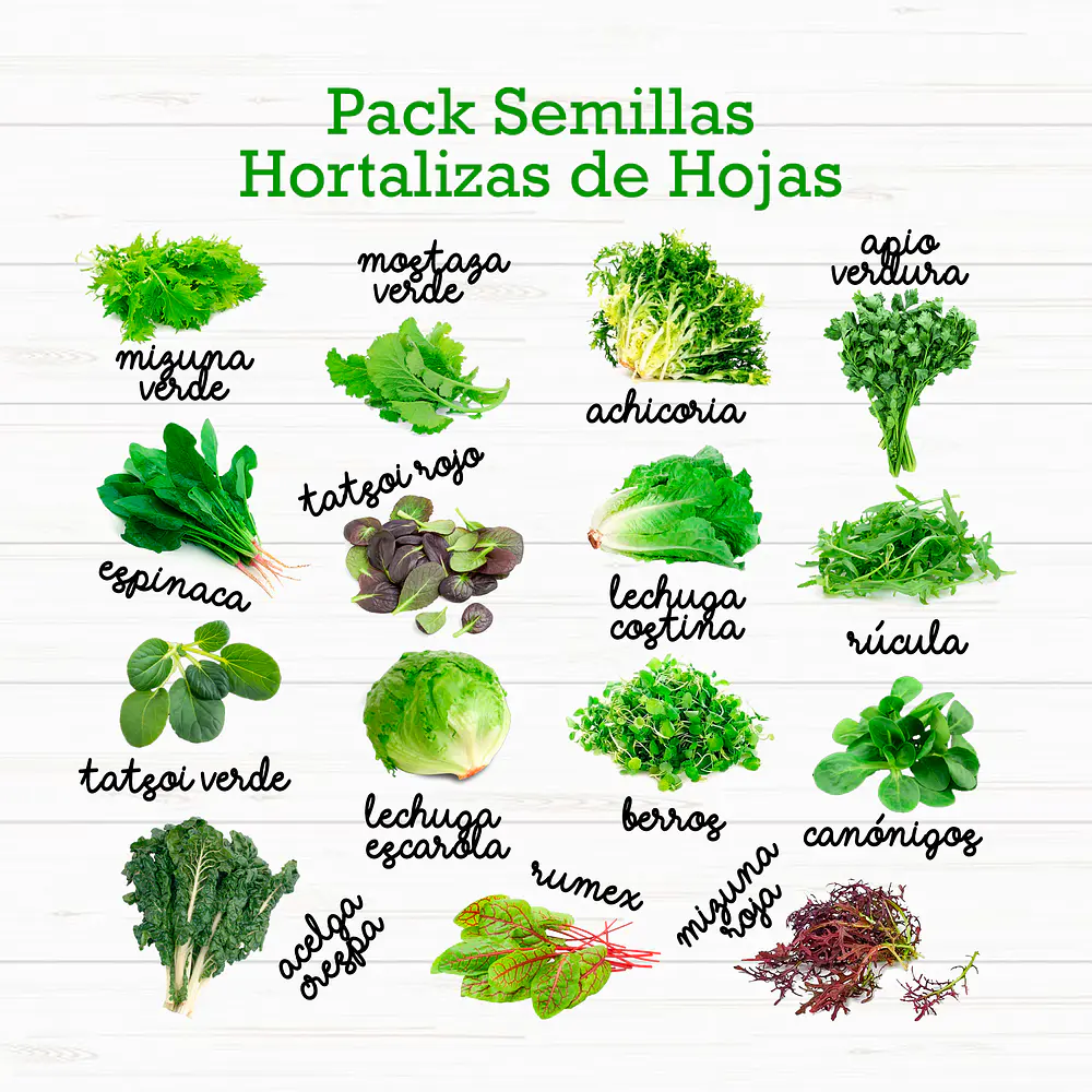 Pack 15 Sobres Semillas Hortalizas De Hojas