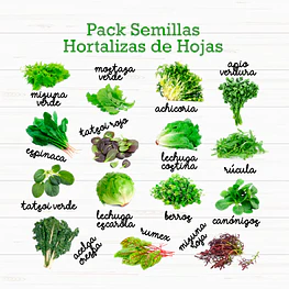 Pack 15 Sobres Semillas Hortalizas De Hojas
