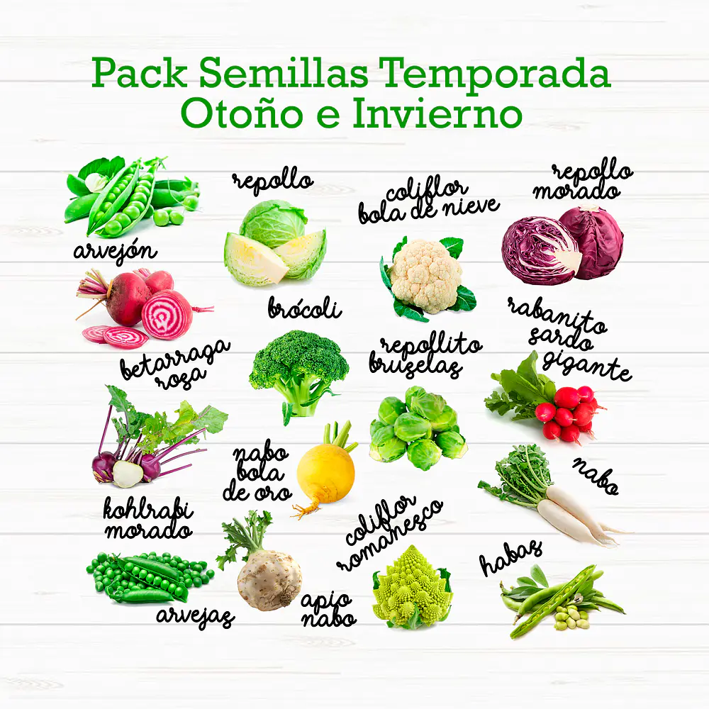 Pack 15 Sobres Semillas De Temporada Otoño E Invierno