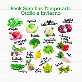 Pack 15 Sobres Semillas De Temporada Otoño E Invierno