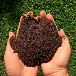 Humus Vermicompost De Lombriz + Sobre De Semillas