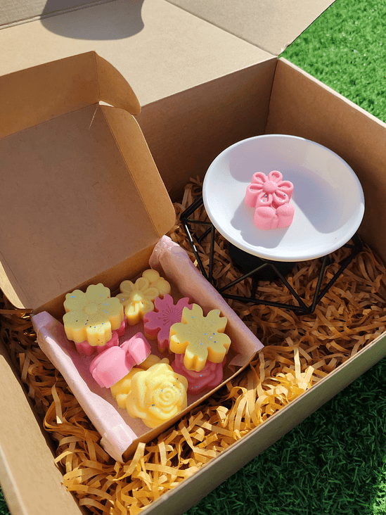 Pack Queimador + Wax Melts Primavera 1