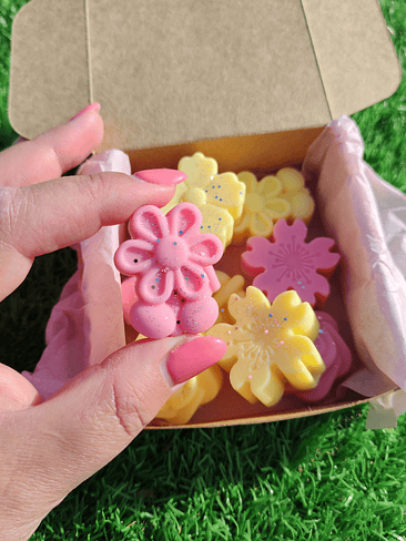 Wax Melts Primavera 1