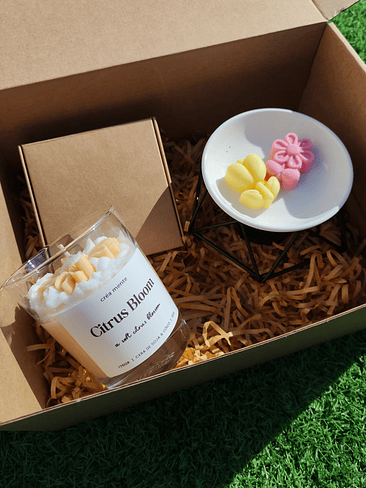 Pack Primavera + Wax Melts e Queimador 3