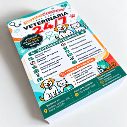 Flyers Publicitarios