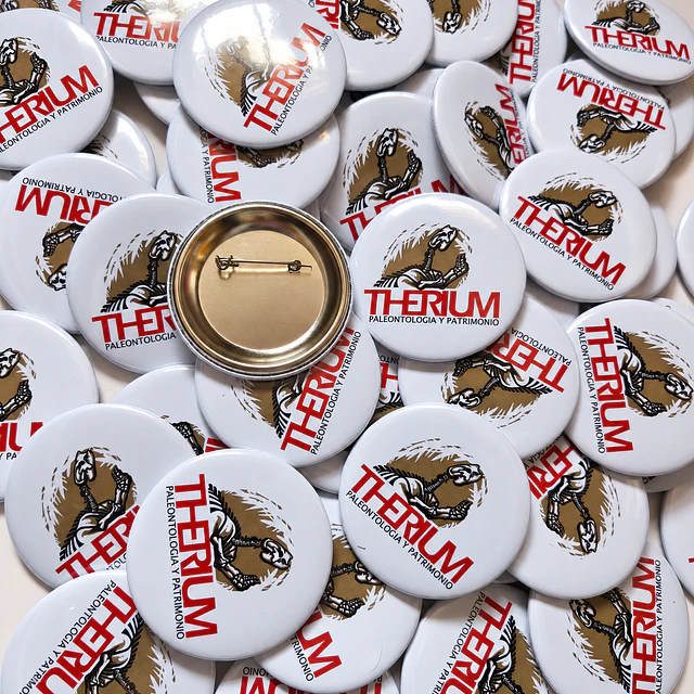 100 Chapitas Alfiler Personalizadas