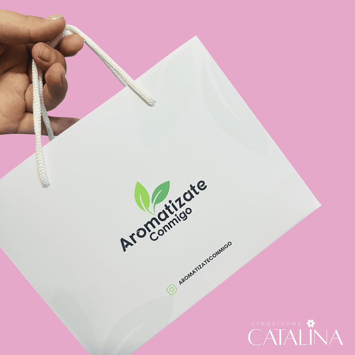 Bolsa MEDIANA 50 UN 1