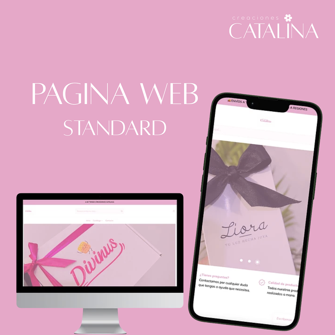 PAGINA WEB STANDARD 1