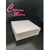 Caja 20x20x5 sin visor (10 unid)