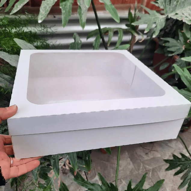 Caja 30x30x5 (10 unid)