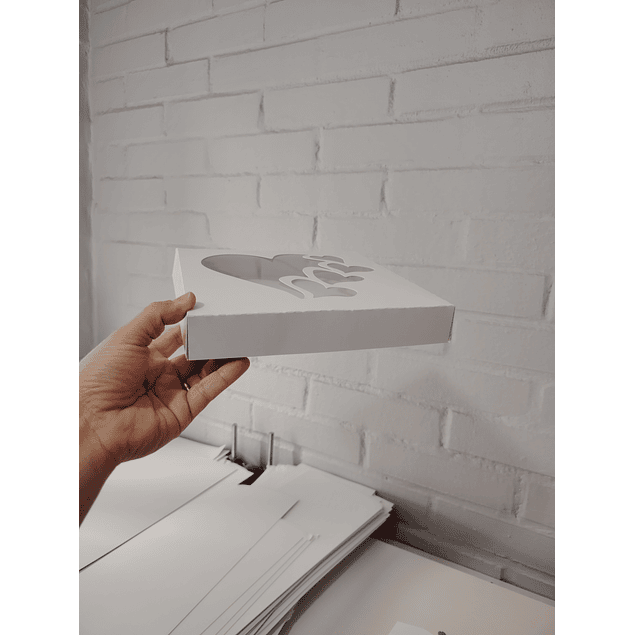 Caja 20x20x3 (10 unid)