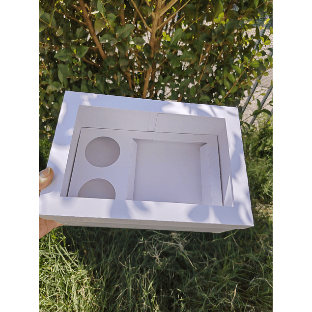 caja par torta mini  y cupcakes pascua