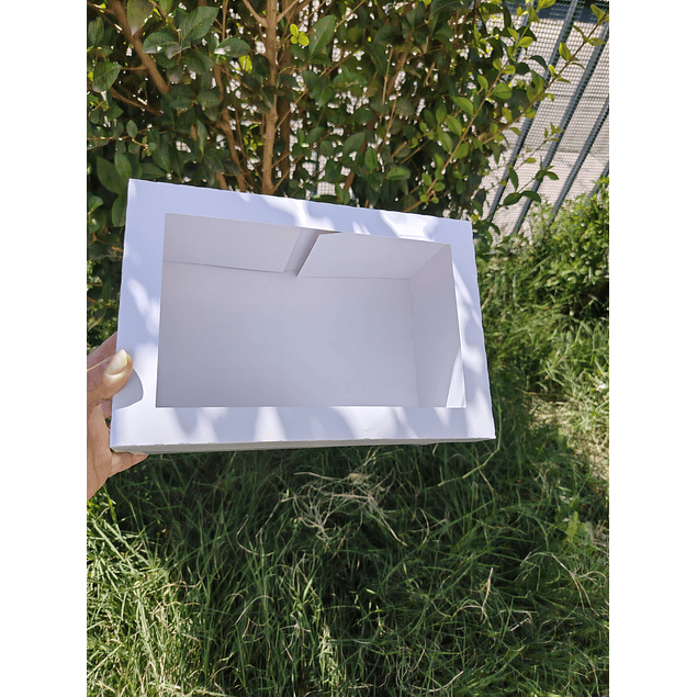 caja par torta mini  y cupcakes pascua