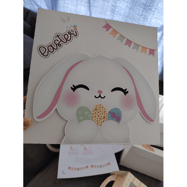 caja 25x25x10 sin visor pascua