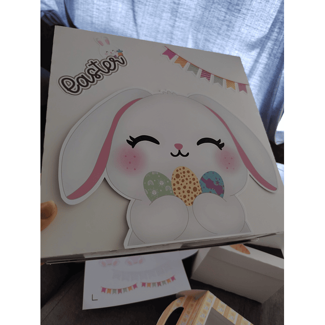 caja 25x25x10 sin visor pascua