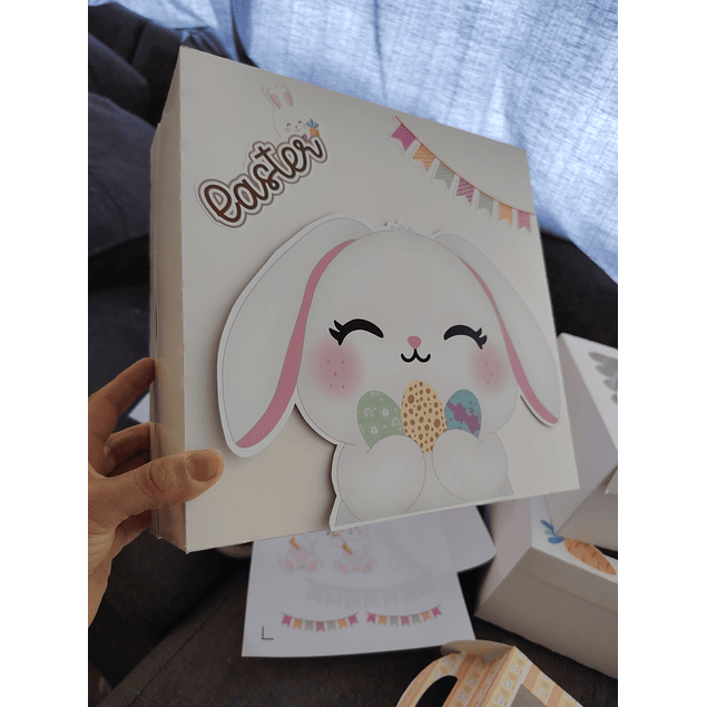 caja 25x25x10 sin visor pascua