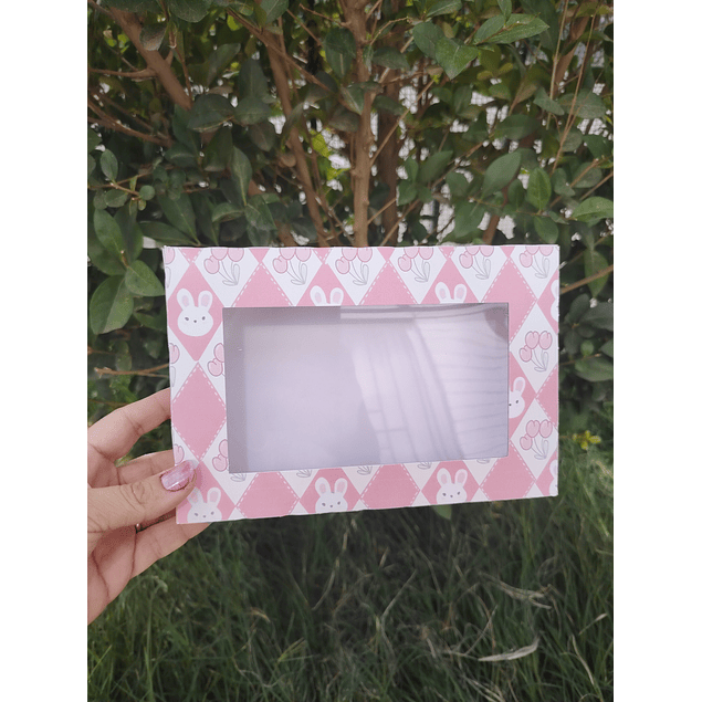 caja 6 alfajor pascua