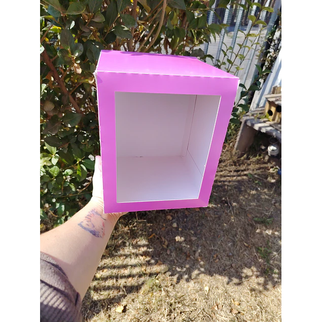 CAJA MINI TORTA 16X16X20 DE ALTO