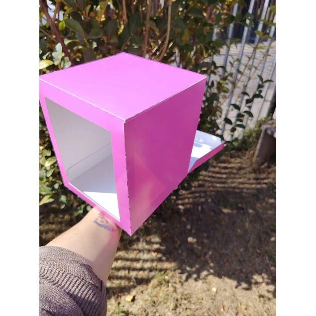 CAJA MINI TORTA 16X16X20 DE ALTO