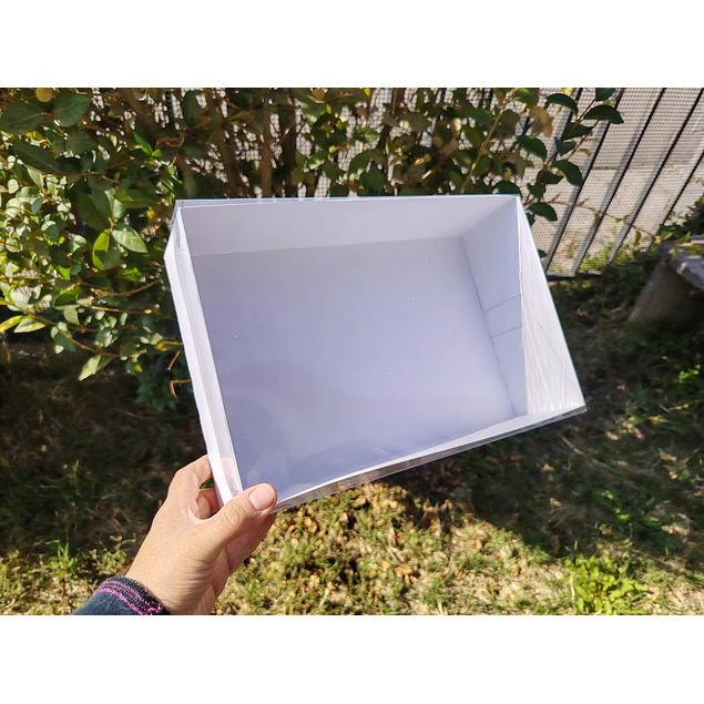 caja 20x30x8 tapa mica