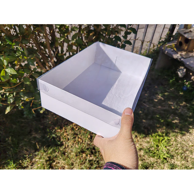 caja 20x30x8 tapa mica