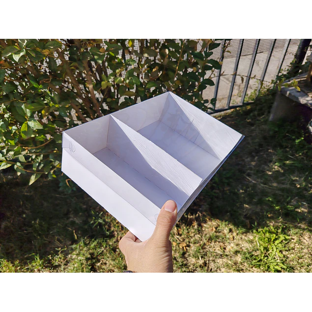 caja 20x30x8 con separador tapa mica
