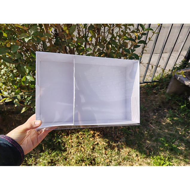 caja 20x30x8 con separador tapa mica
