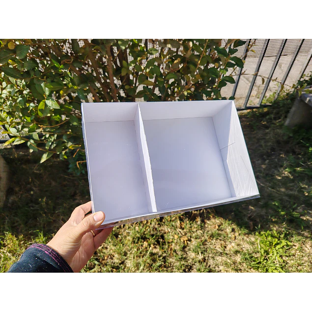 caja 20x30x8 con separador tapa mica