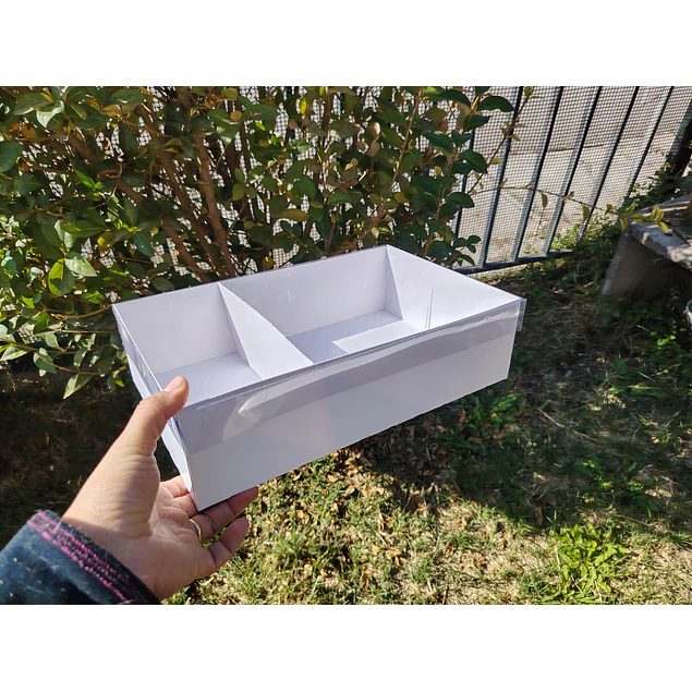 caja 20x30x8 con separador tapa mica