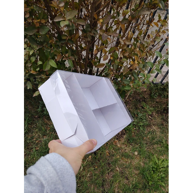 caja 20x30x8 con separadores