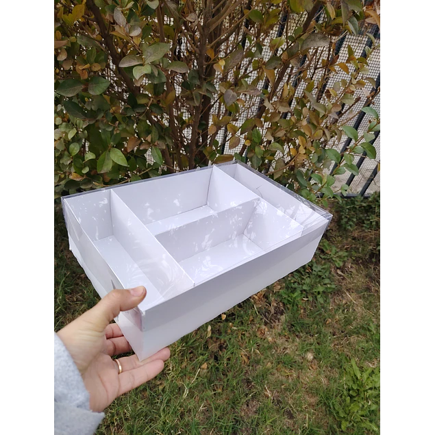 caja 20x30x8 con separadores