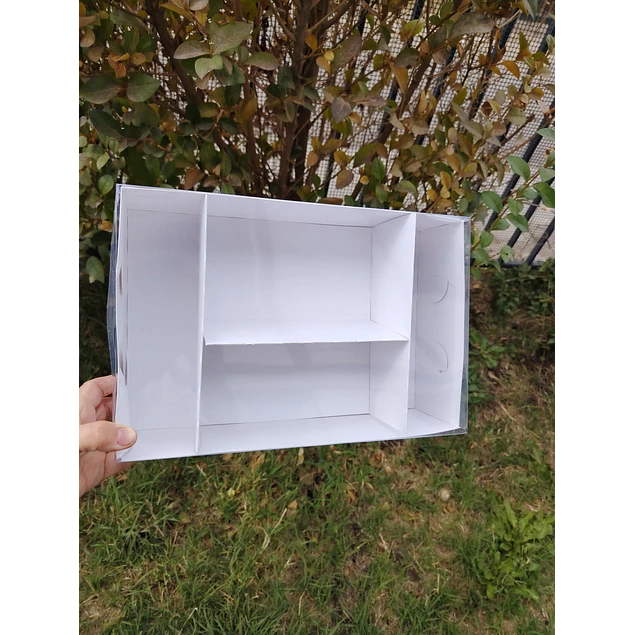 caja 20x30x8 con separadores