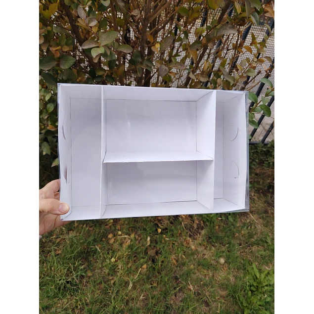 caja 20x30x8 con separadores