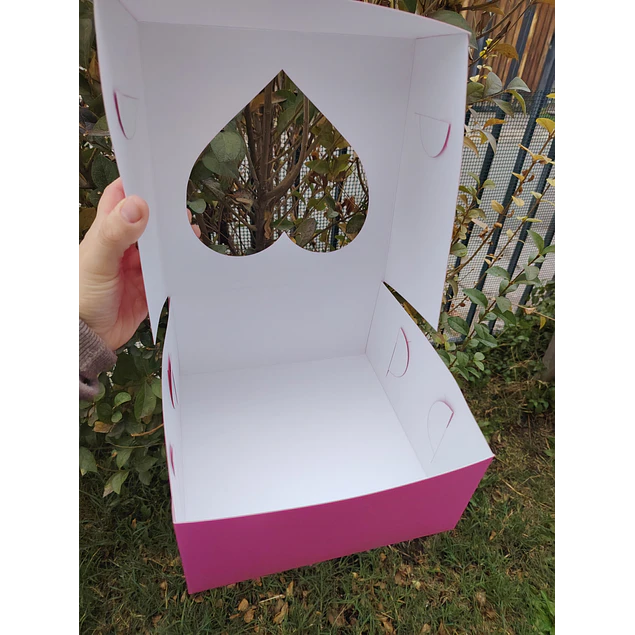 caja 20x20x10 visor corazon 