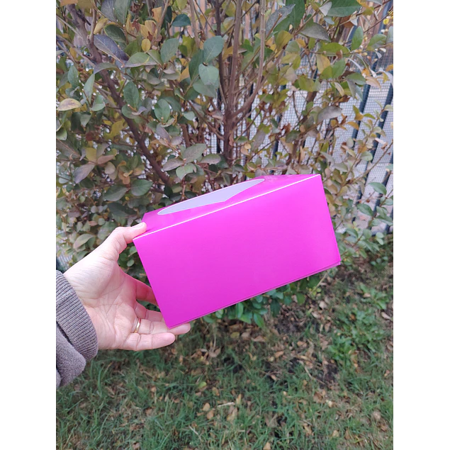 caja 20x20x10 visor corazon 