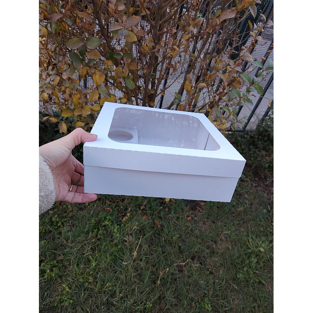 Caja salsas y surtidos 