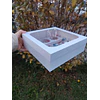 Caja salsas y surtidos 