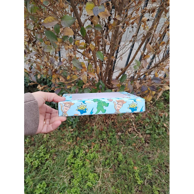 cja 6 alfajor toy story