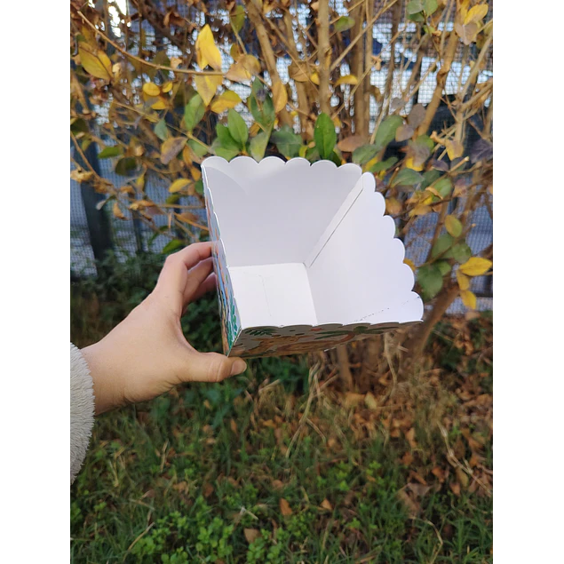 Caja palomera