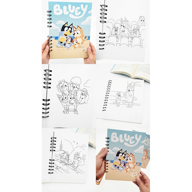libro Bluey