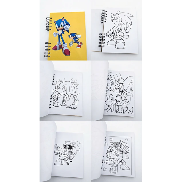 libro Sonic