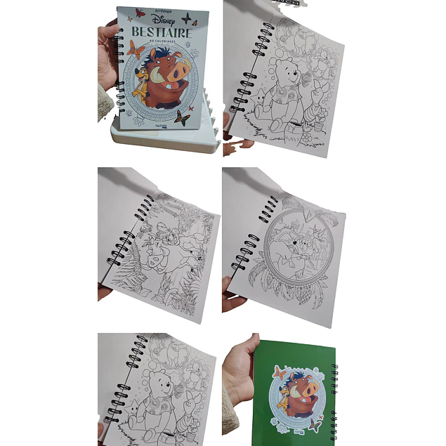libro Bestiaire