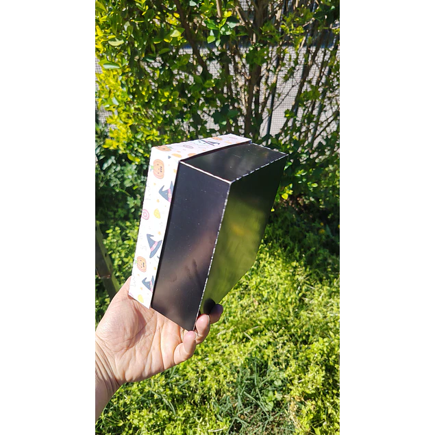 Caja 16x16x8 