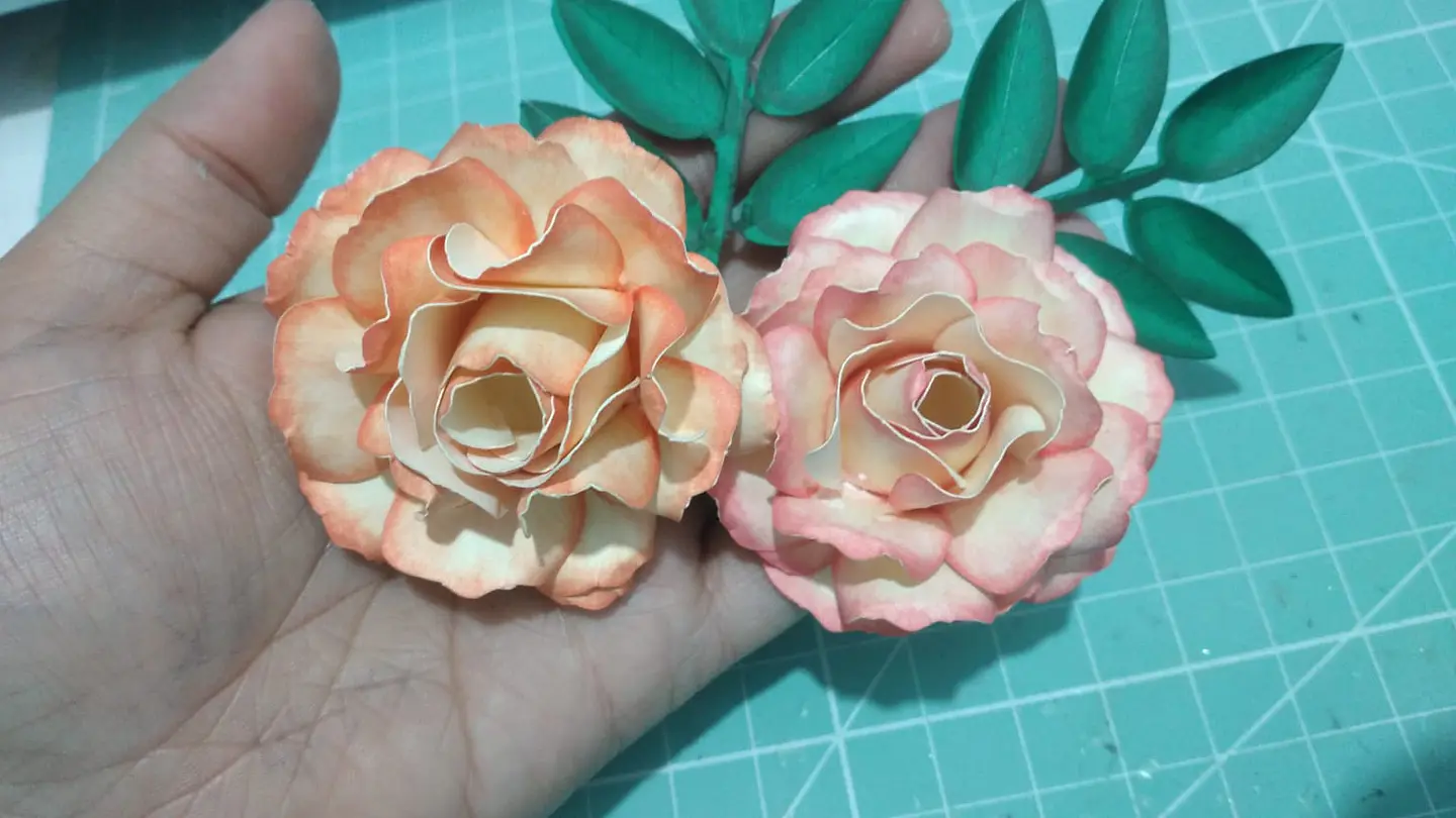 Arquivo de corte rosa aurora  1